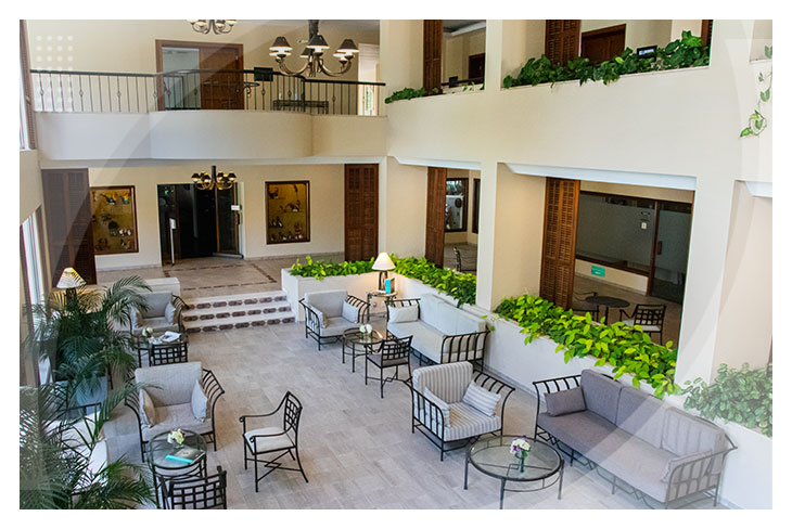 Espacio amplio con sillones grises, mesas de centro, lámparas de mesa y plantas verdes perfecto para descansar y disfrutar de la gran oferta de hoteles Estelar en Ibagué