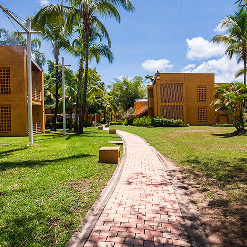 Sendero de ladrillos con palmeras, prados verdes, edificios amarillos y bancas en los costados, en donde se puede hacer la reserva de habitación para fin de semana del Hotel Lagosol