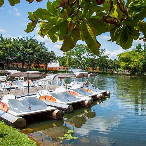 Varios botes, cada uno con un parasol para proteger a las personas del sol, flotan en el muelle de un lago, el cual está rodeado de naturaleza y hace parte de uno de los planes de temporada alta en el hotel Lagosol. Al fondo se logra ver un edificio color mostaza