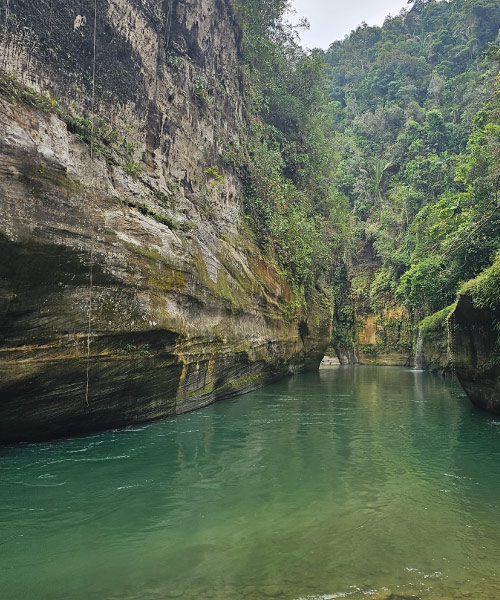 Vista en ángulo bajo de un río fluyendo a través de un cañón con altas paredes de roca cubiertas de densa vegetación tropical