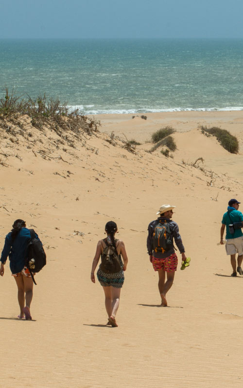 Grupo de cuatro personas caminando por extensas dunas doradas frente al mar azul en La Guajira